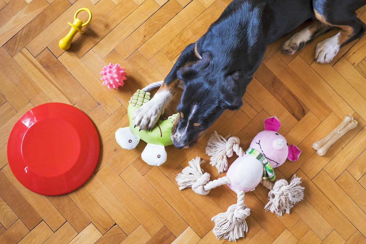 Toys