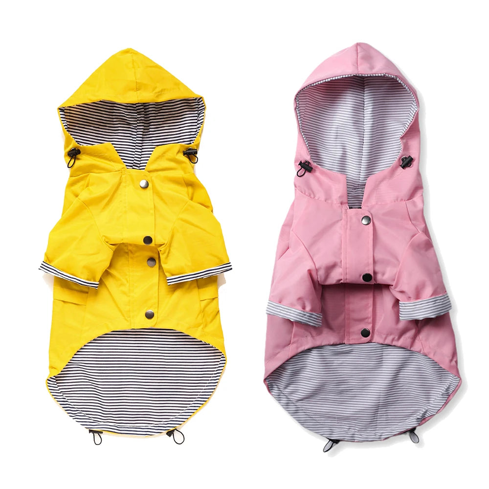 Waterproof Windproof Jacket