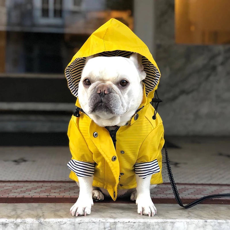 Waterproof Windproof Jacket