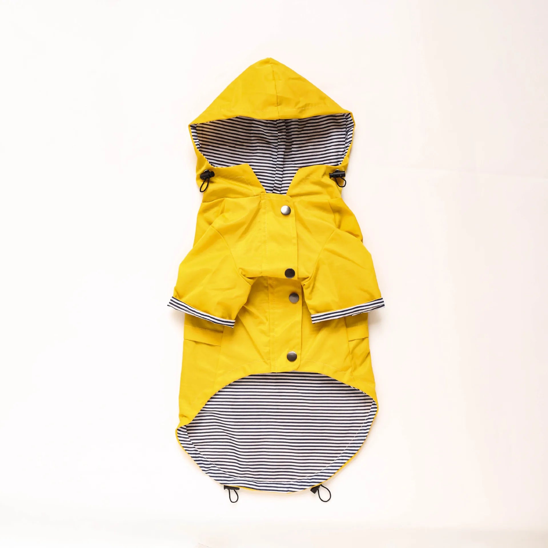 Waterproof Windproof Jacket