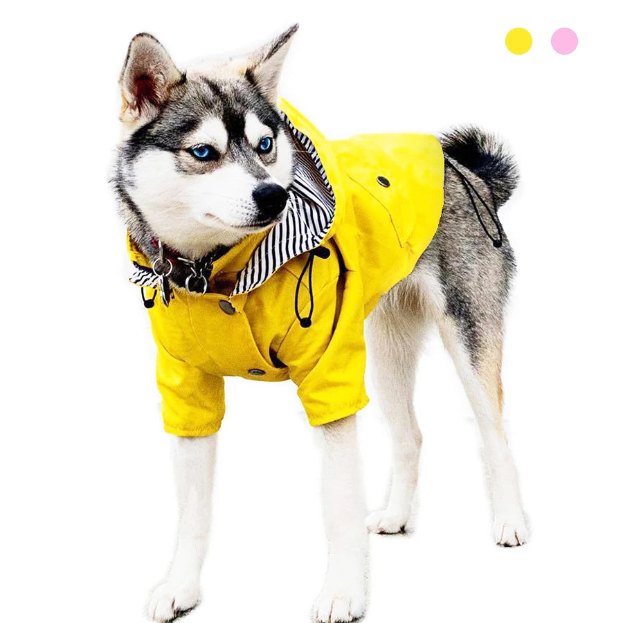 Waterproof Windproof Jacket