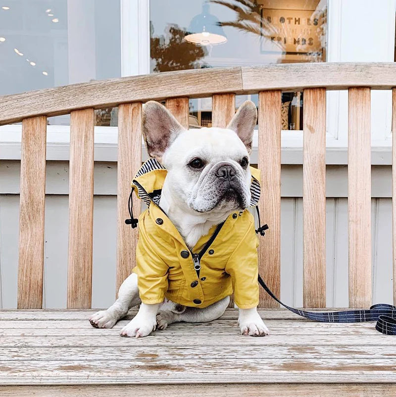 Waterproof Windproof Jacket