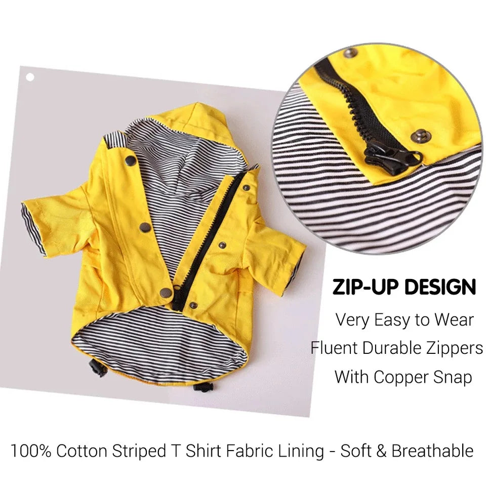 Waterproof Windproof Jacket
