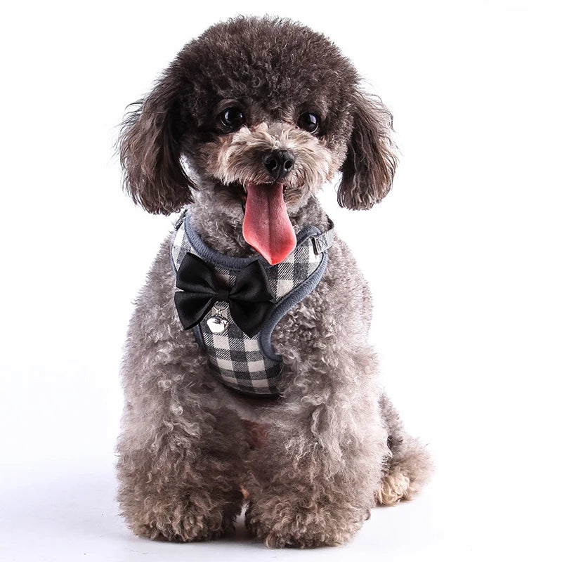 Harness and Leash Set Vest