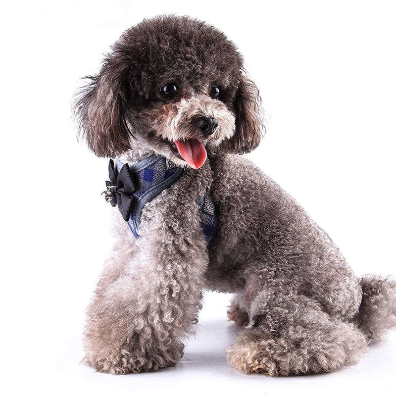 Harness and Leash Set Vest