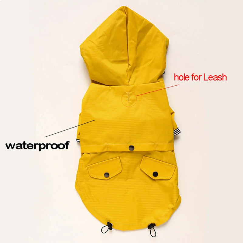 Waterproof Windproof Jacket