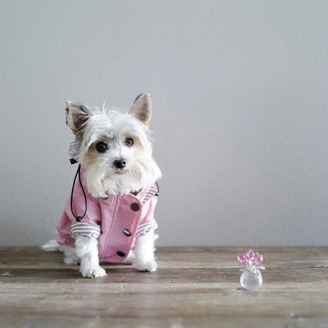 Waterproof Windproof Jacket