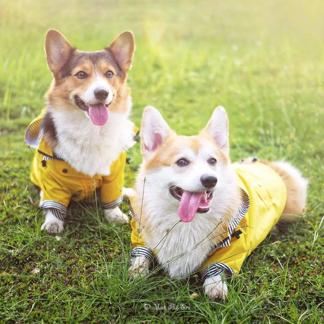 Waterproof Windproof Jacket