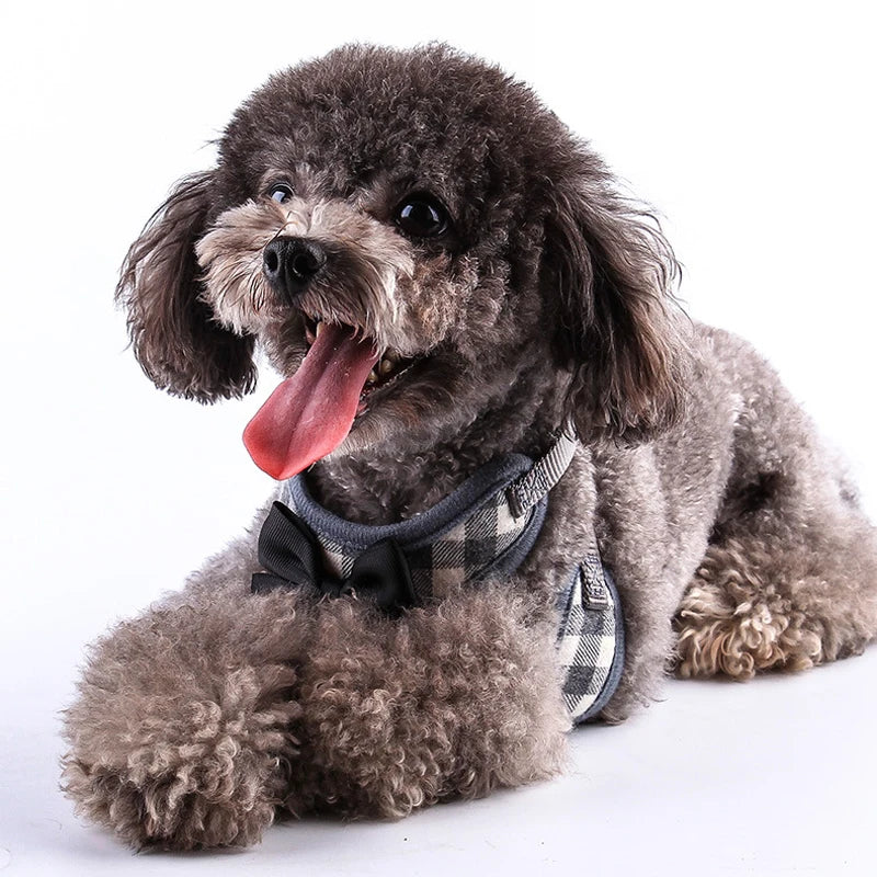 Harness and Leash Set Vest