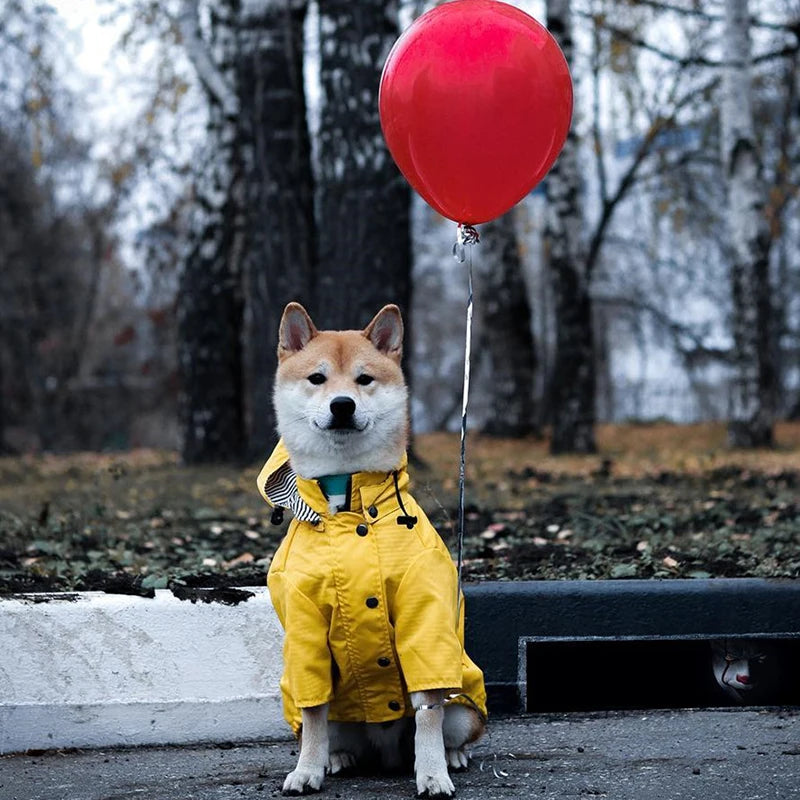 Waterproof Windproof Jacket