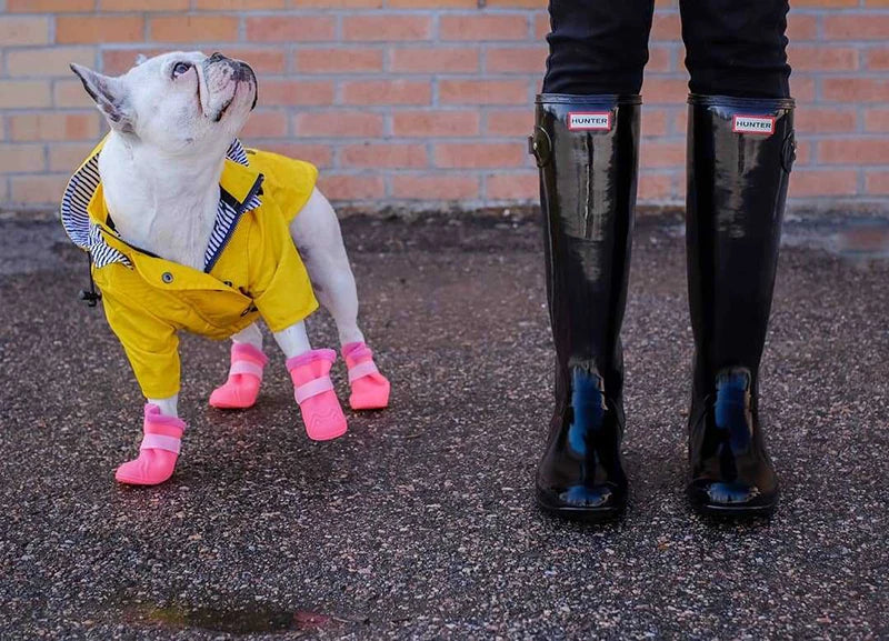 Waterproof Windproof Jacket