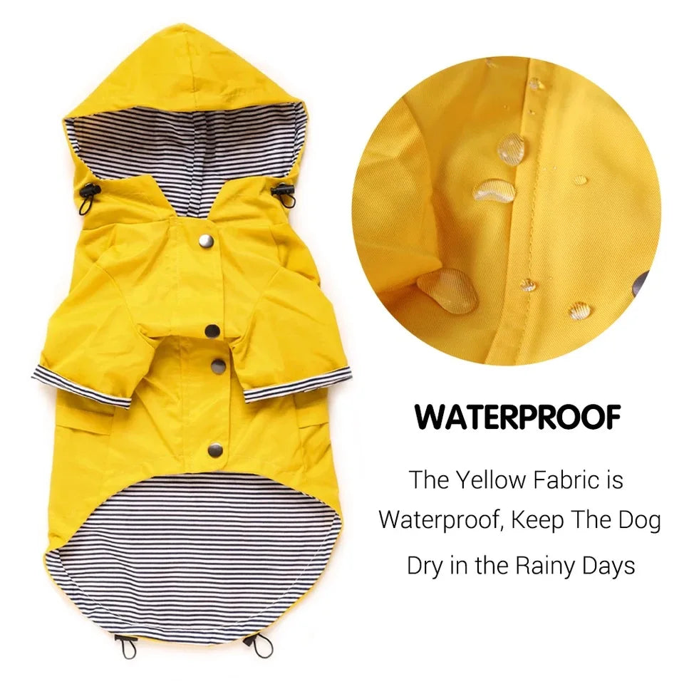 Waterproof Windproof Jacket