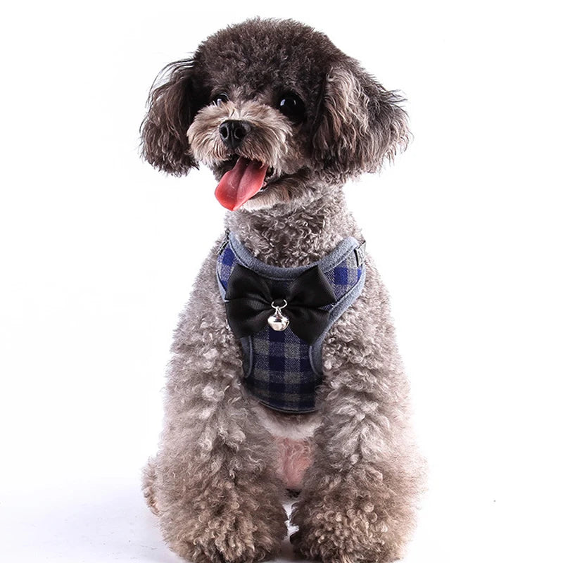 Harness and Leash Set Vest