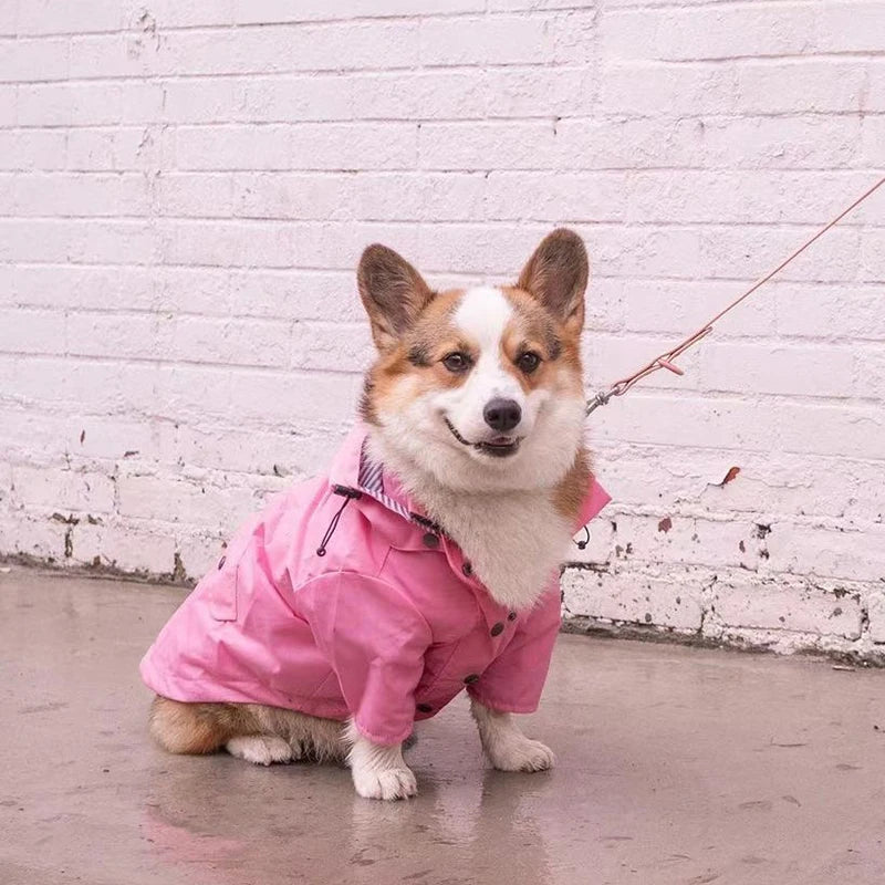 Waterproof Windproof Jacket