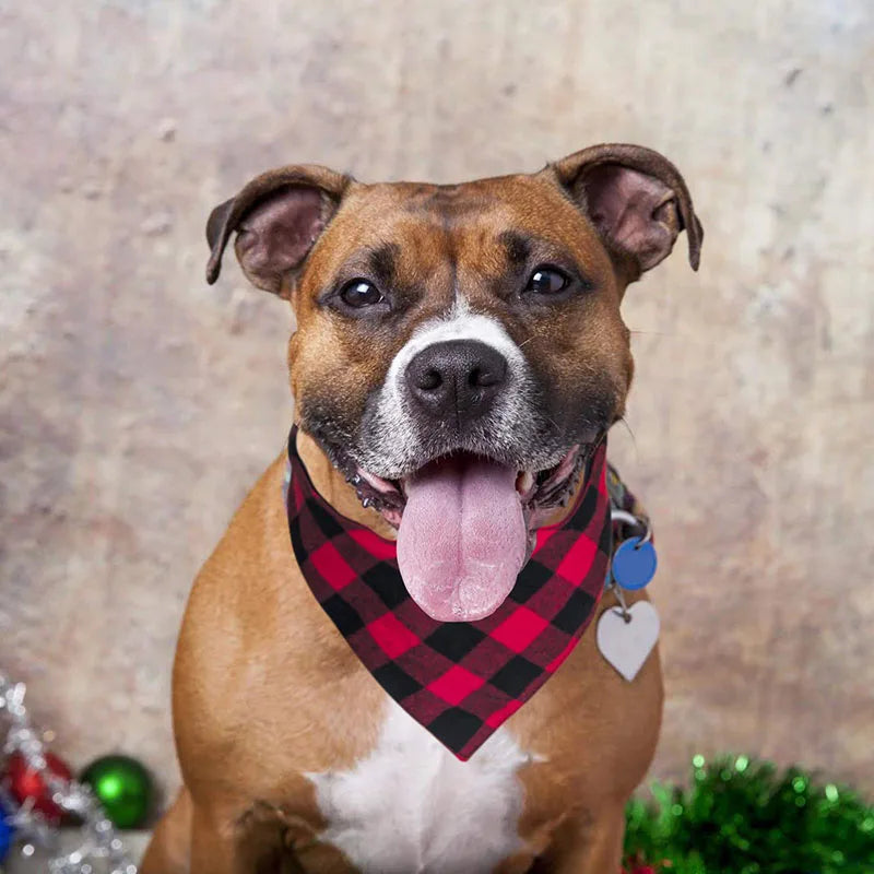 Cotton Plaid Bandana