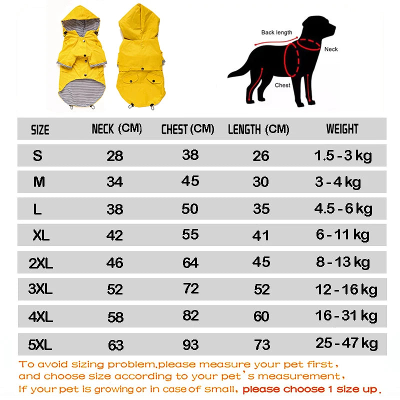 Waterproof Windproof Jacket