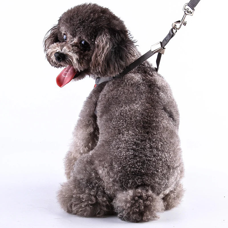 Harness and Leash Set Vest