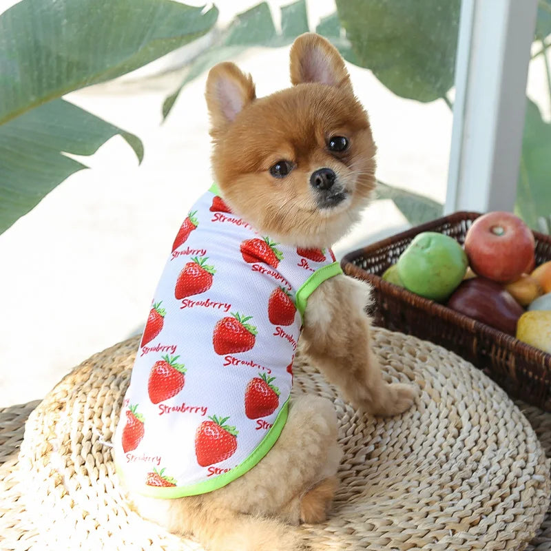 Soft Cotton Sweater