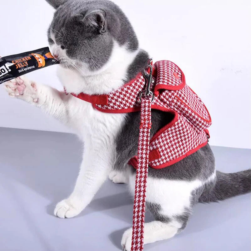 Harness and Leash Set