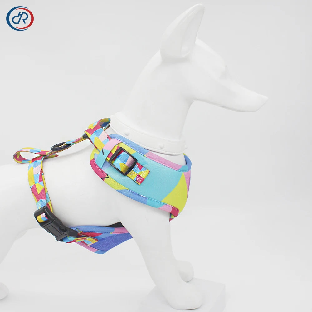 Polyester Memphis Style Harness Set