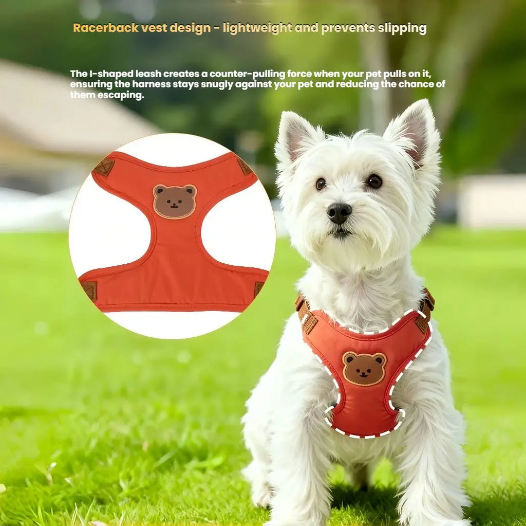 Harness Leash Set Small Medium Dog Cat
