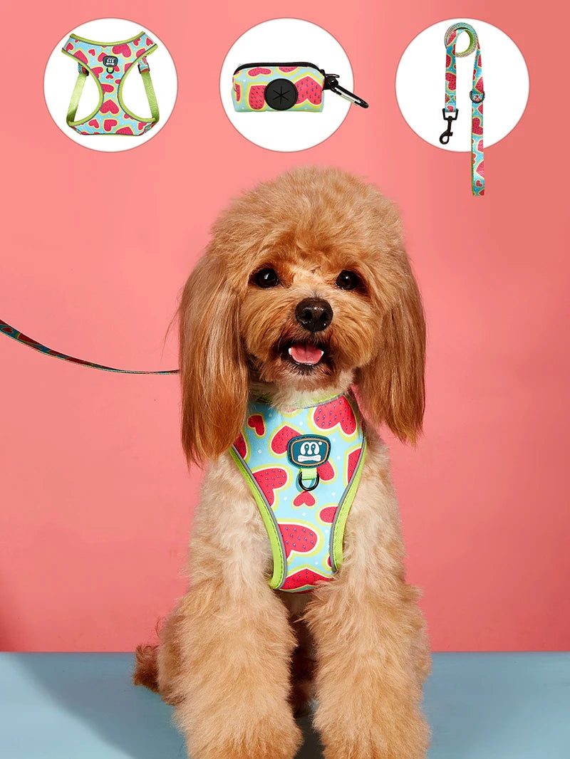 Set Love Heart Adjustable Harness