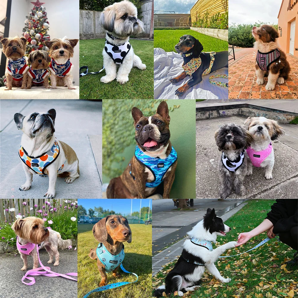 Polyester Memphis Style Harness Set