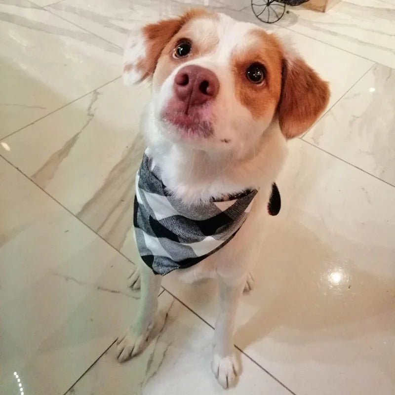 Plaid Cotton Bandana