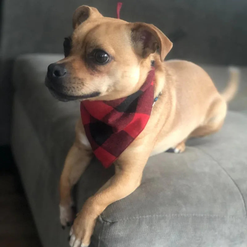 Plaid Cotton Bandana