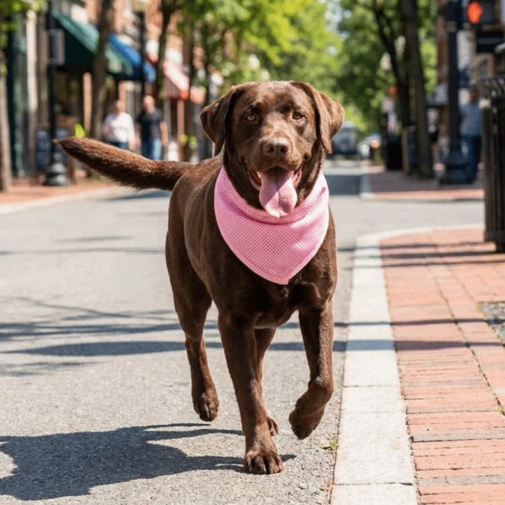 Breathable Cooling Scarf