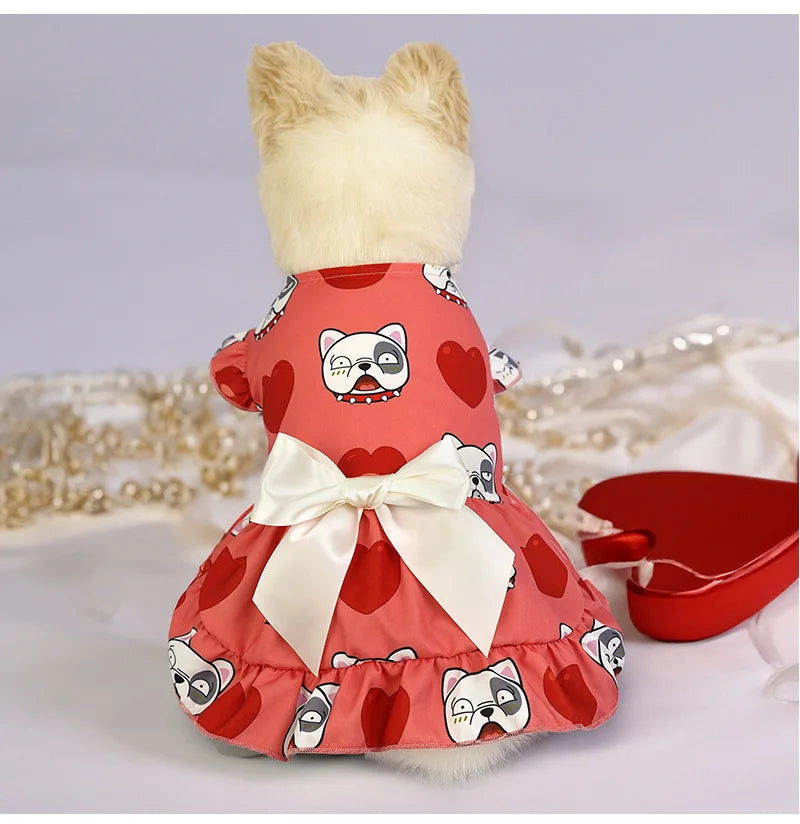 Party Outfit Dress