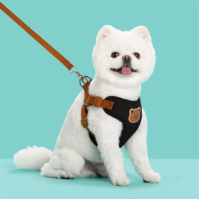 Harness Leash Set Small Medium Dog Cat