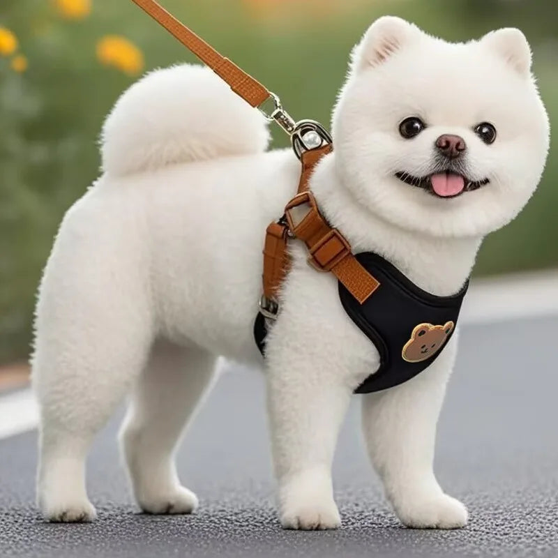 Harness Leash Set Small Medium Dog Cat