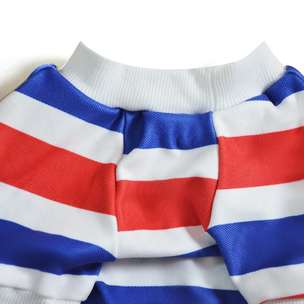 Fashionable Striped Hoodie