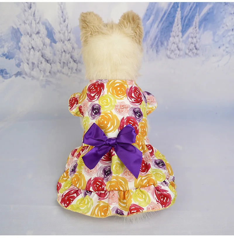 Party Outfit Dress