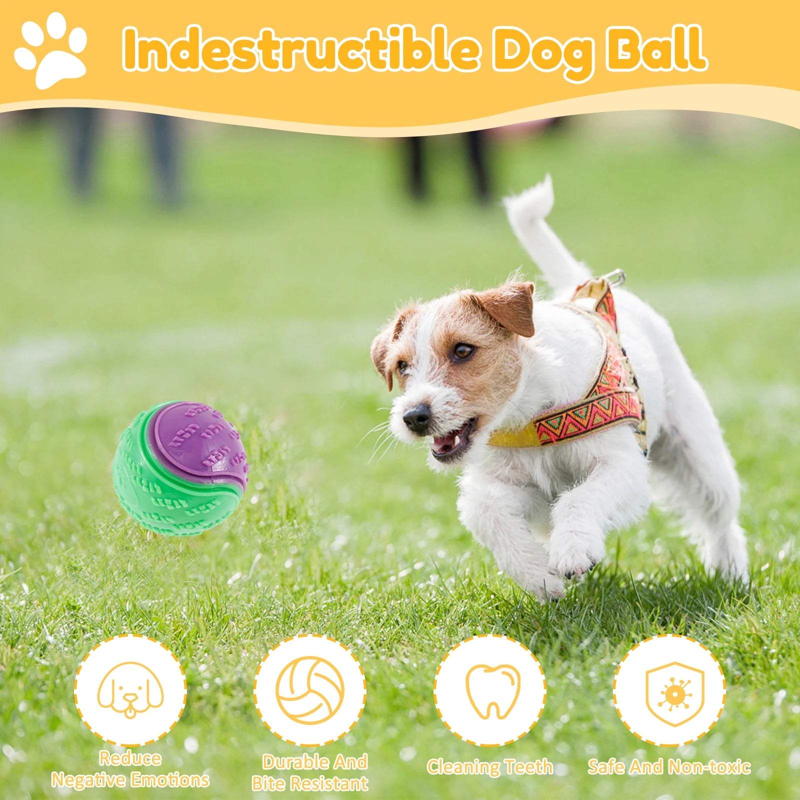 6Pcs Squeaky Balls