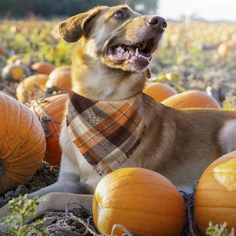 Medium Large Dog Bandana