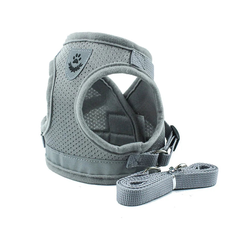 Sets Reflective Mesh Harnesses for Small
