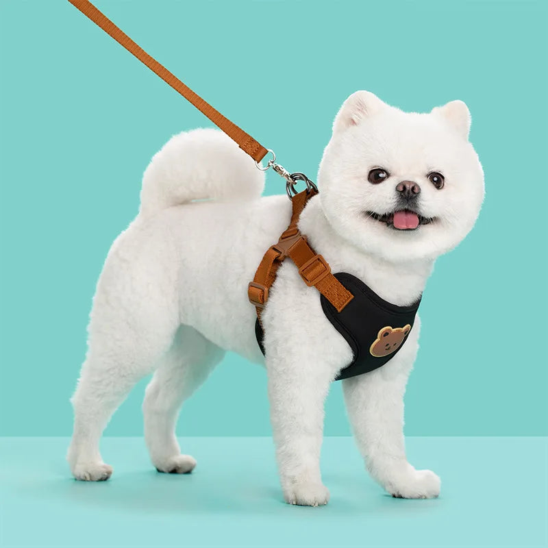 Harness Leash Set Small Medium Dog Cat