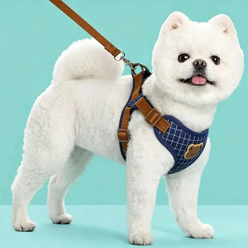 Harness Leash Set Small Medium Dog Cat