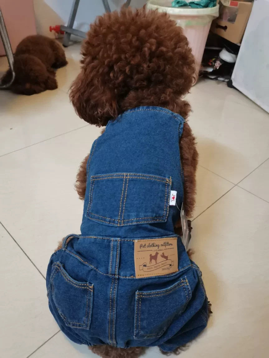 New Washable Stretchy  Denim Jacket