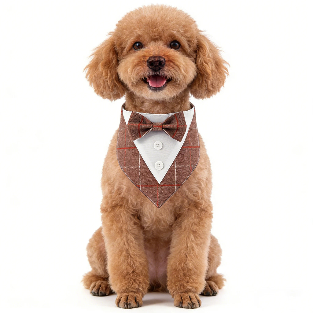 Bandana Bow Tie