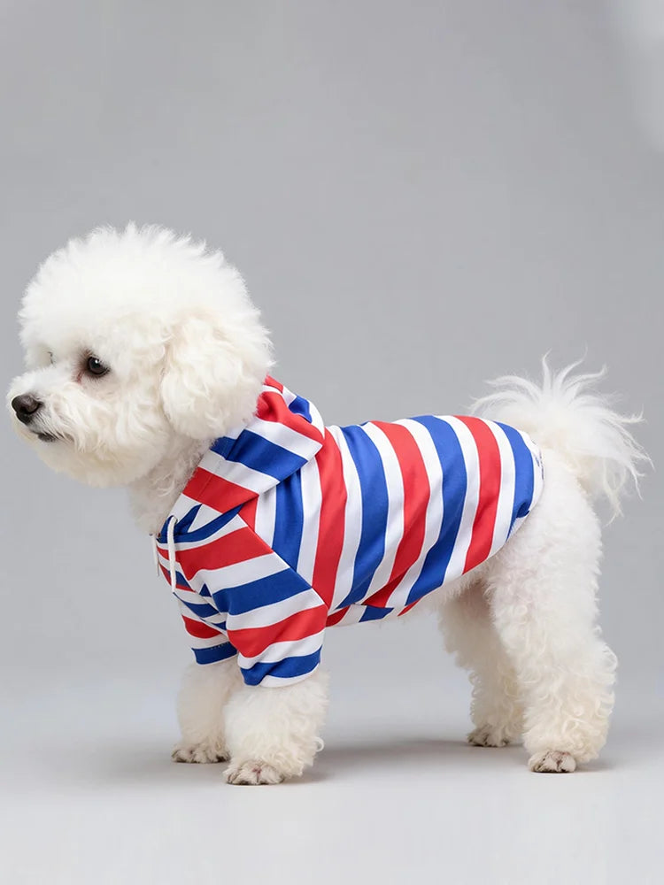 Fashion Hoodie