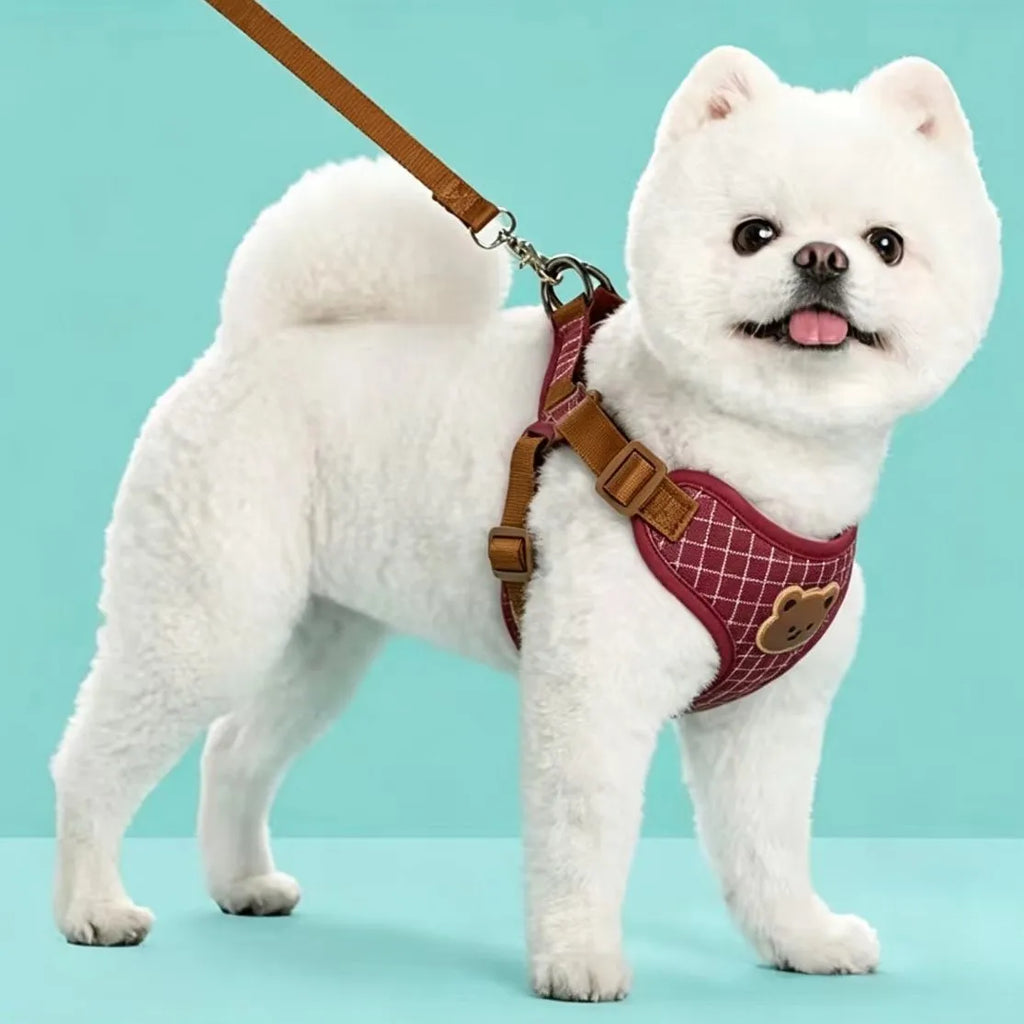 Harness Leash Set Small Medium Dog Cat