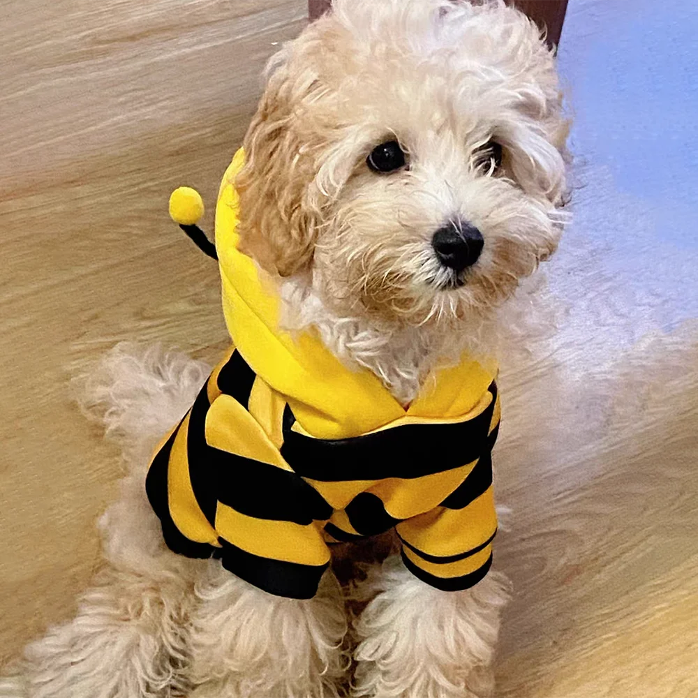 Cute Bee Costume Hoodie