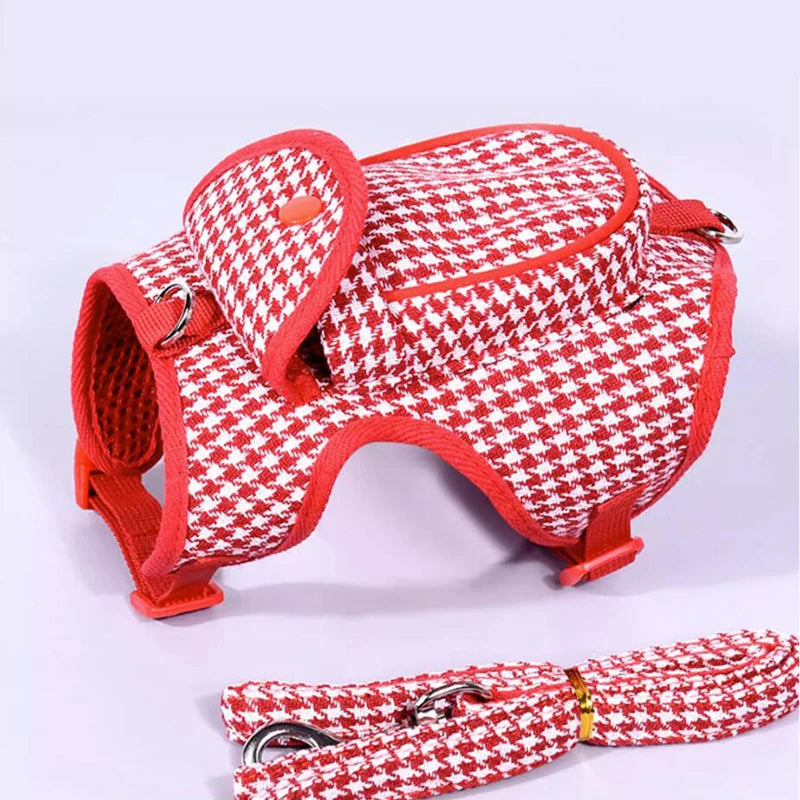 Harness and Leash Set