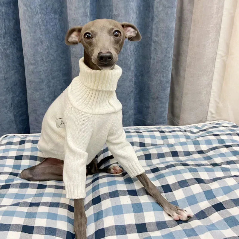 Italian Greyhound Sweater