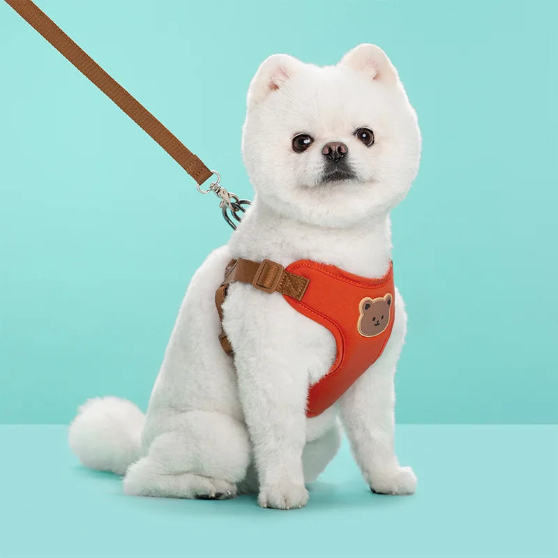 Harness Leash Set Small Medium Dog Cat