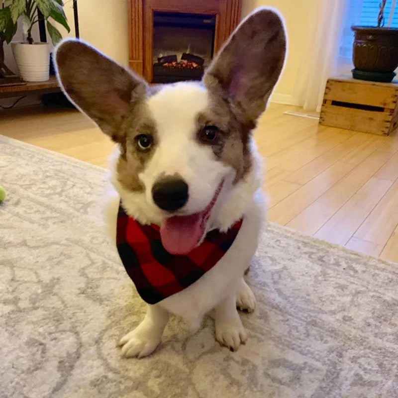 Plaid Cotton Bandana