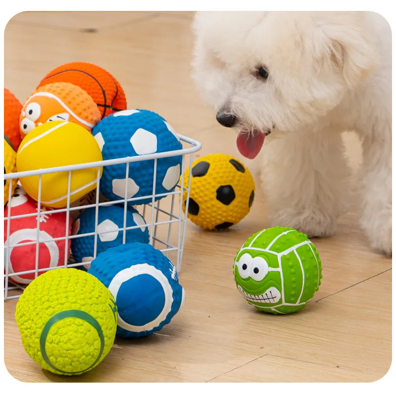 Squeaky Rubber Toys
